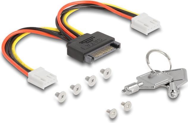Actual product image Delock 3.5? Removable frame for 2 x M.2 NVMe SSD with Slim SAS