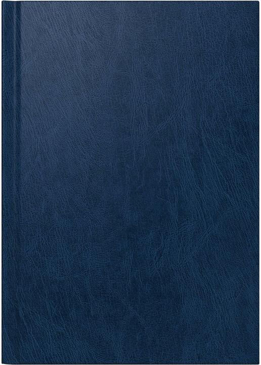 Produktbild Stewo Geschäftsagenda Diary Square 2026, Blau, Detailfarbe (A5, 1 Tag / 1 Seite)