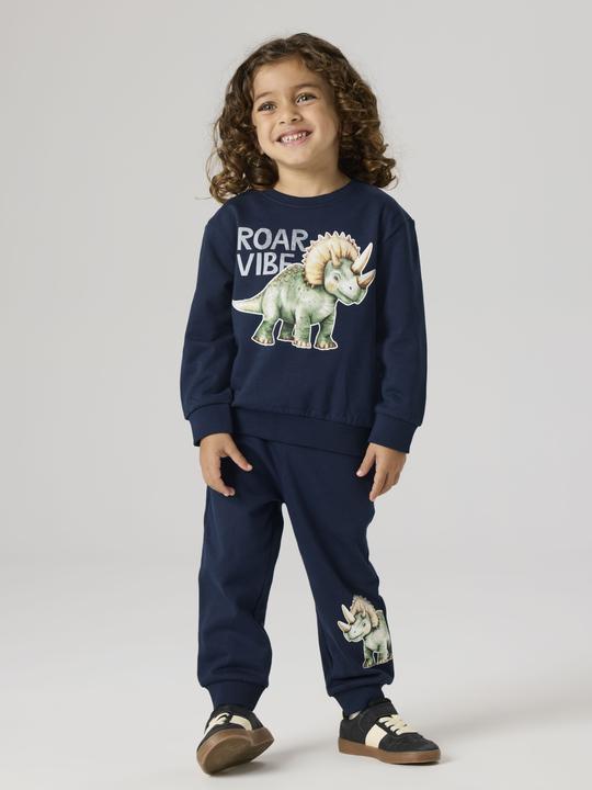 Produktbild Name it Bio-Baumwoll Sweatshirt (98)
