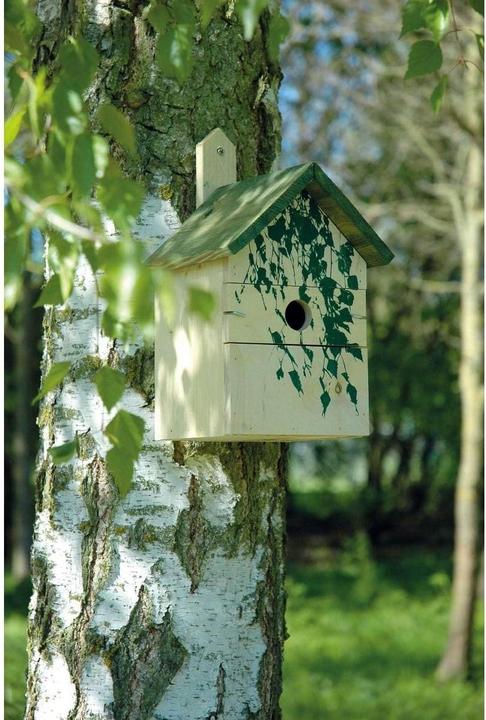 Produktbild Dobar Birke