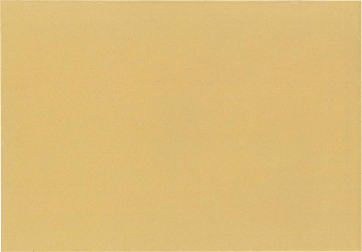 Image du produit Neutralware Pochette à soufflet DIN E4 sans fenêtre 150g/m² avec adhésif brun natron 250 pcs/paquet (250 x)