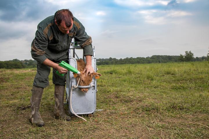 Produktbild Express COSMOS mit Batterie für Kälber