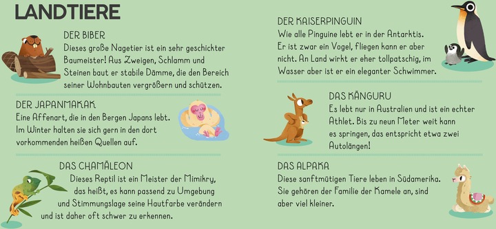 Produktbild Die Welt. Meine Erste Puzzle Box (36 Teile)