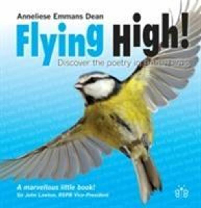 Produktbild Flying High (Englisch, Anneliese Emmans Dean, 2017)