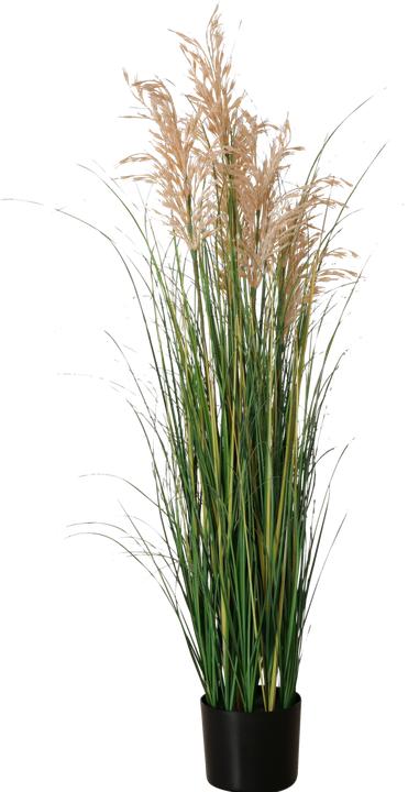 Boltze Home Dnengras (130 cm)