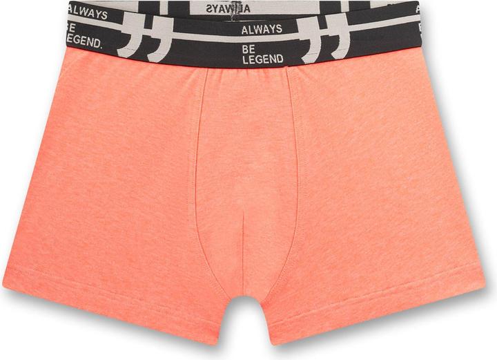 Actual product image Sanetta Kid's Set Hipshort 349279 (140, 5-pack)