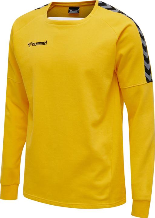 Image du produit hummel Sweat D'Entraînement Authentique (S)