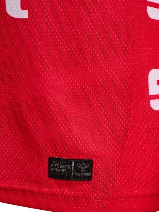 Produktbild hummel Langarmtrikot SG Flensburg-Handewitt GK (M)