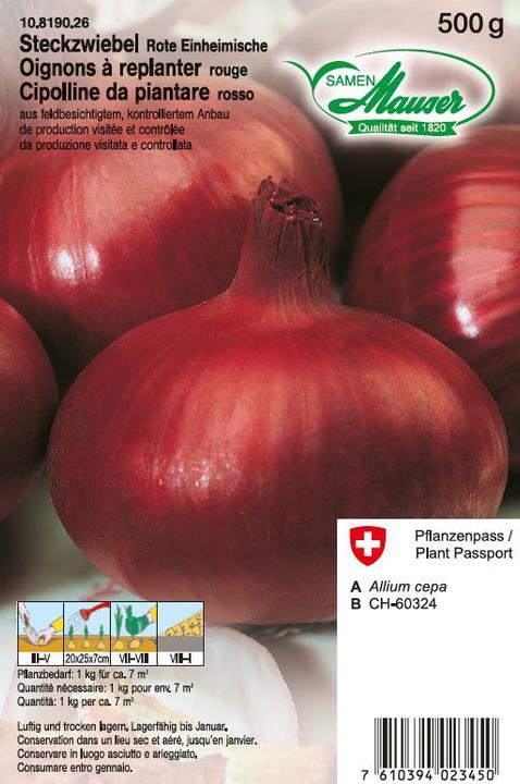 Samen Mauser Cipolle rosse native (Semi di verdura)
