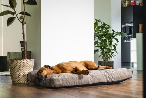 Actual product image Beeztees Bz Orthopedic Rest Cush Veo Mocha 120x80 (Dog)