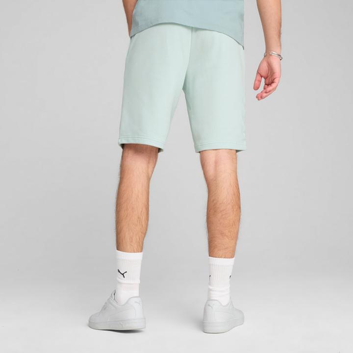 Actual product image Puma ESS 2 COLOR No. 1 Logo Shorts 10" TR (L)