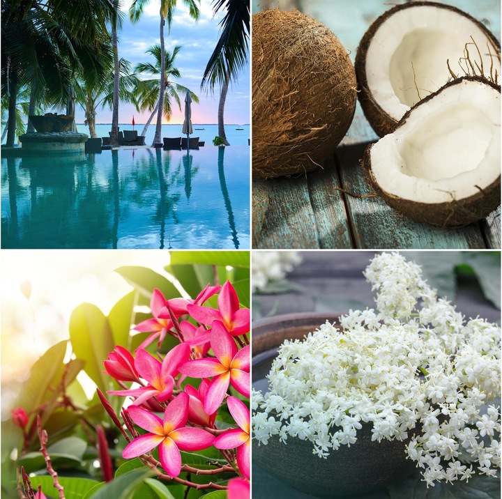 Produktbild Glade Exotic Tropical Blossoms