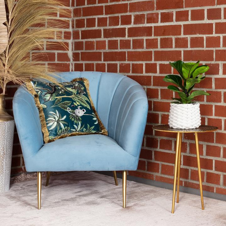 Immagine prodotto Flowerbox Fico violino Bambino - Ficus Lyrata Bambino (35 cm)