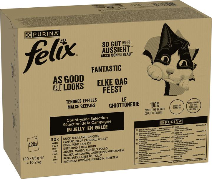 Actual product image Felix As good as it looks (Adult, 10200 g)