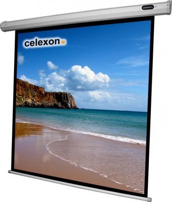 Produktbild Celexon Motor Economy, Leinwand, 1:1 (100.24", 1:1)