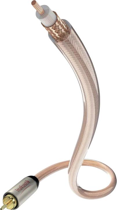 Actual product image Inakustik Star (12 m, Cinch)