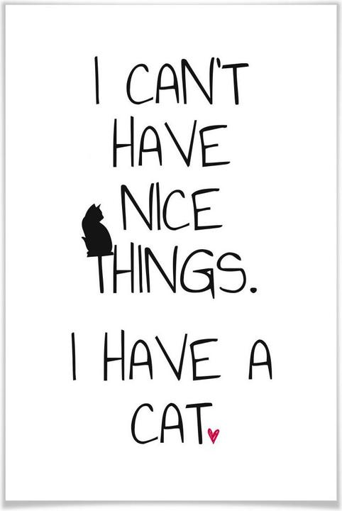 Produktbild Trenddeko I can't have nice Things - Cat (30 x 45 cm)