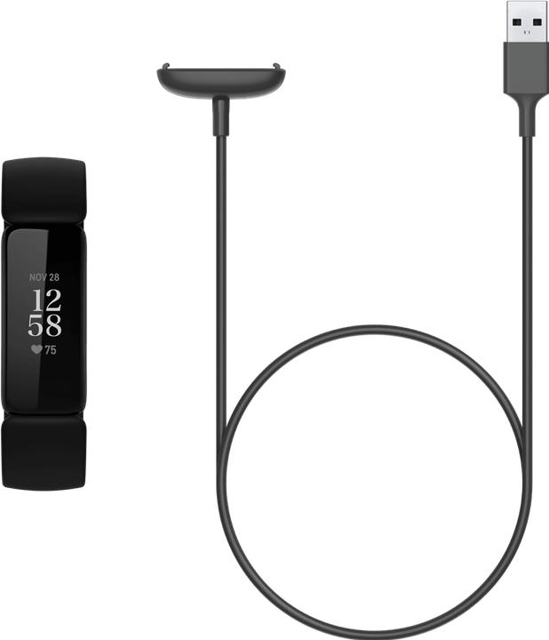 Actual product image Fitbit Retail Charging Cable