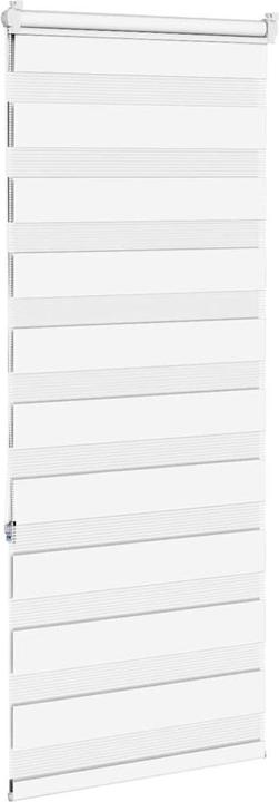 Produktbild vidaXL Zebra-Jalousie (55 x 150 cm)
