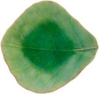 Immagine prodotto Costa Nova Riviera