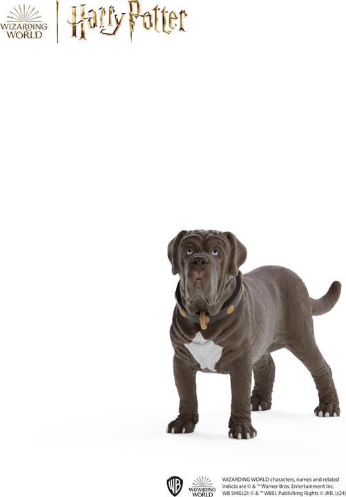 Image du produit Schleich Harry Potter 2024