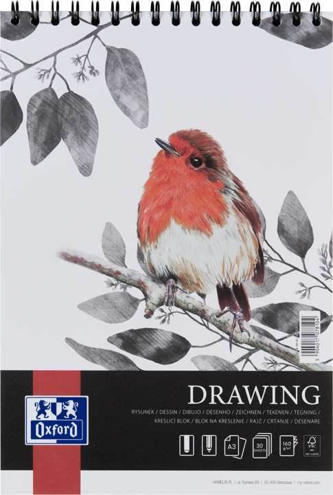 Zeichenblock (A3, Geen, Softcover)