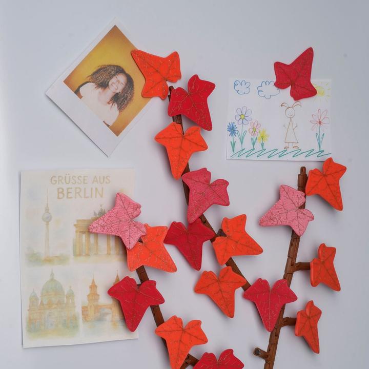 Produktbild Hermex 23-tlg. 3D Efeu-Kühlschrankmagnet-Set Magnet Efeuranken-Deko (23x)