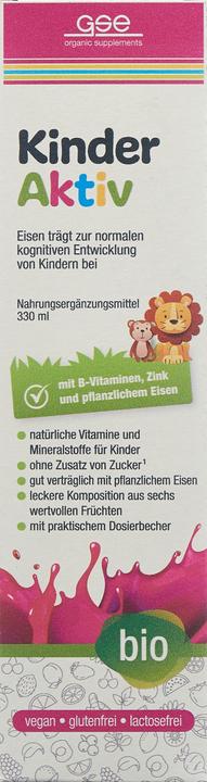 Actual product image GSE Children Active Complex Bio liq (1 Piece, Liquid, 592 g)