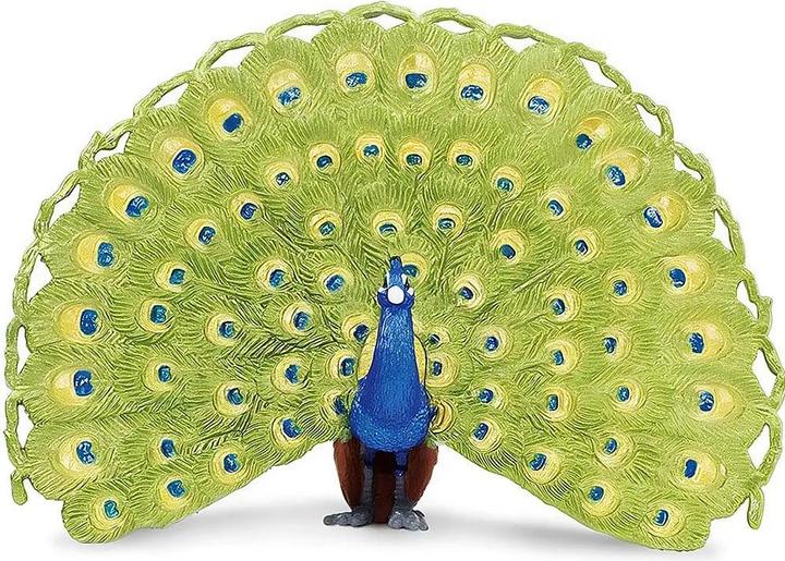 Actual product image Safari Peacock
