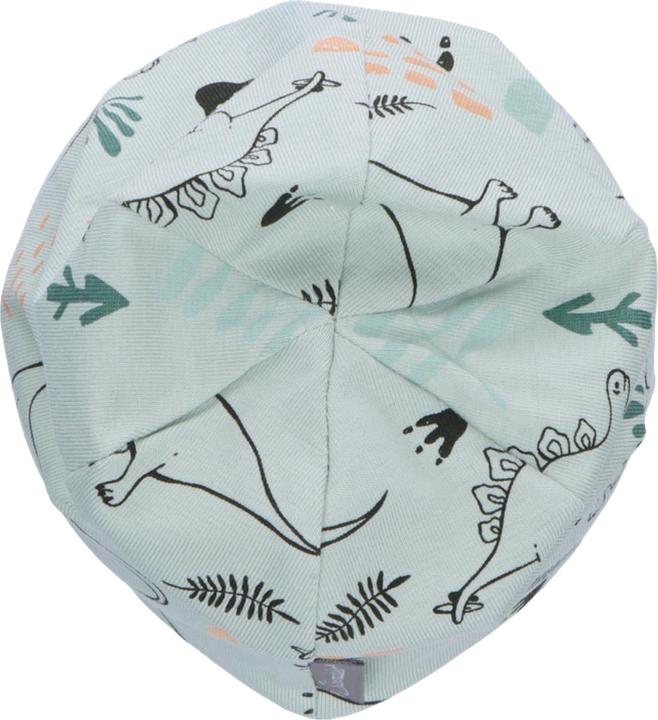 Actual product image Sterntaler Kids Transitional Cap Dinosaur (45)