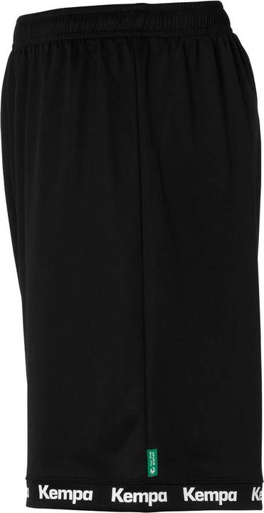 Actual product image Kempa Wave 26 Shorts (140)