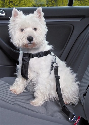 Produktbild Trixie Auto-Geschirr (M, Hund, Allgemein)