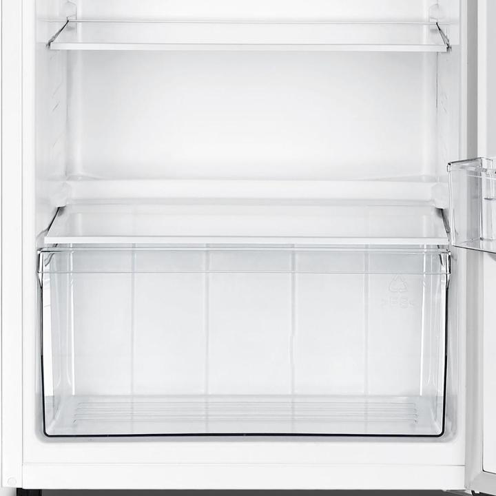Actual product image Gorenje R4142PW (242 l)