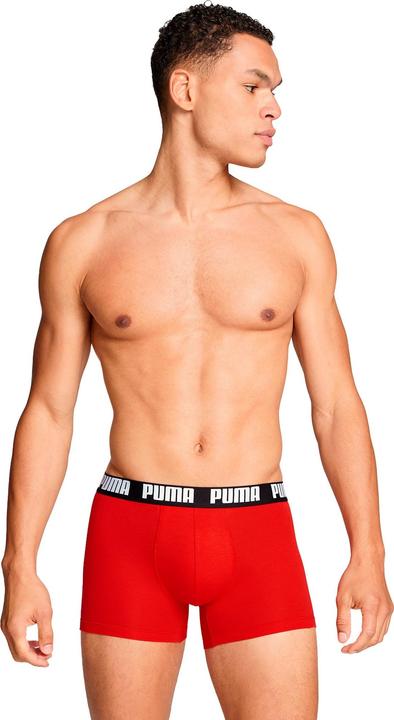 Actual product image Puma Everyday (L, pack of 2)