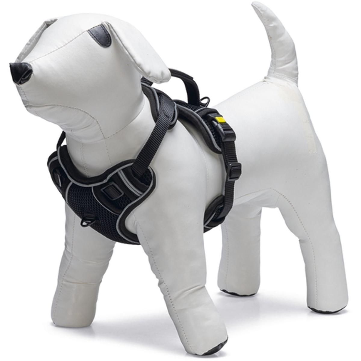 Comparer les prix de Beeztees Supreme Y-Geschirr Parinca (Chien, Promenade, Sport canin), Collier + laisse