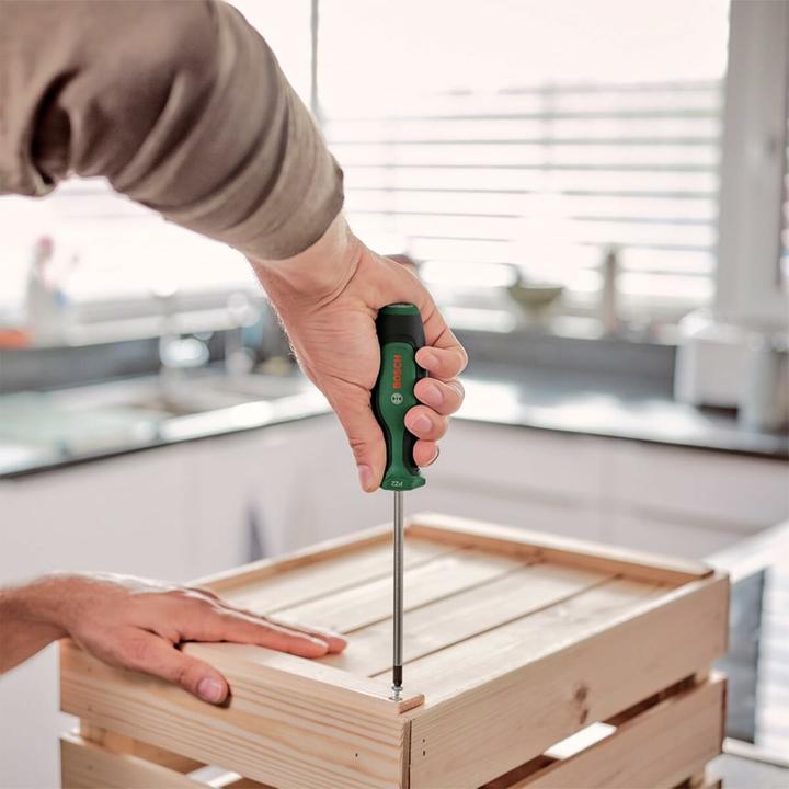 Actual product image Bosch Home & Garden Bosch Screwdriver set of 6 pieces with magnetiser (6 pieces)