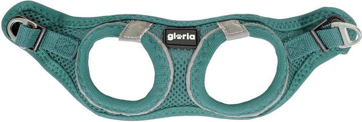 Produktbild Gloria Hundegeschirr Trek Star 27-28 cm 31-34,6 cm türkis XS (XS, Hund)
