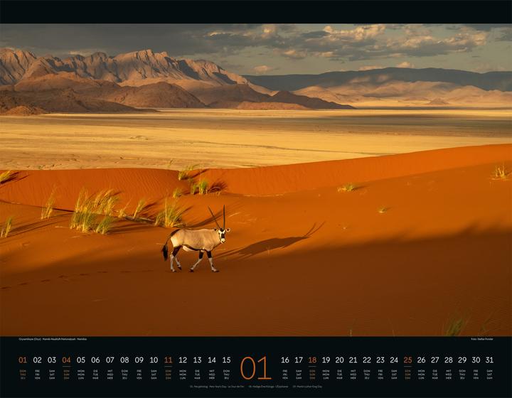 Image du produit Wildes Afrika Kalender 2026 (54 x 42 cm, Couverture rigide, Anglais, Français, Allemand)