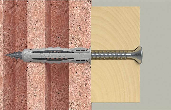 Image du produit Fischer Cheville à expansion (100 pcs)