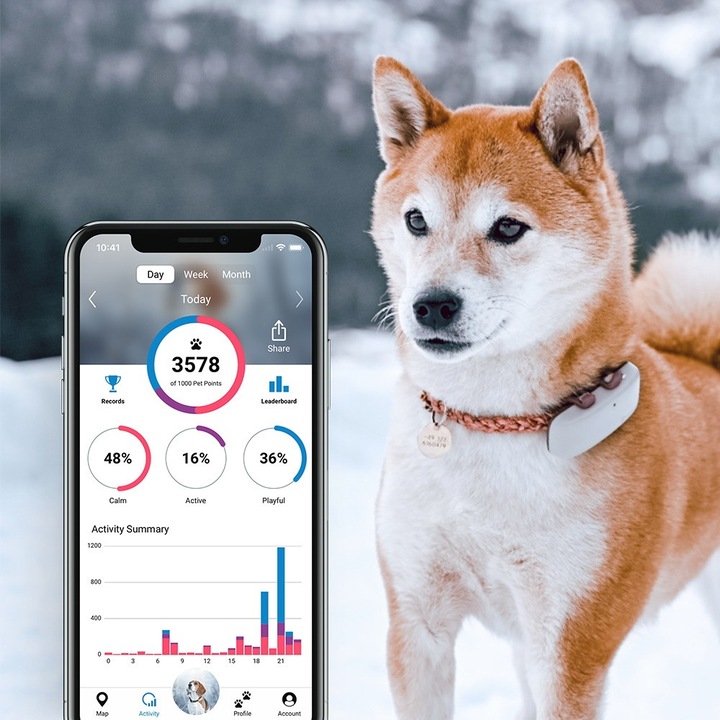 Produktbild Tractive Dog 4 GPS Tracker für Hunde (Hund, Allgemein)