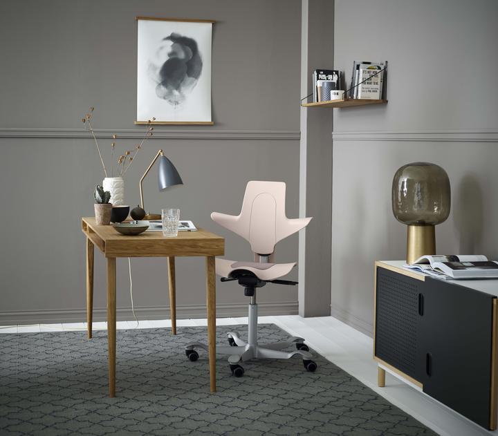 Image du produit HAG Capisco Puls 8010