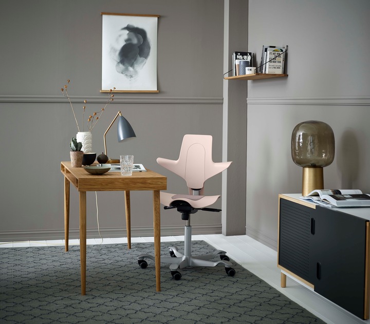 Produktbild HAG Capisco Puls 8010