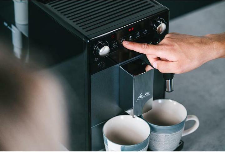 Actual product image Melitta Avanza titan F270-100