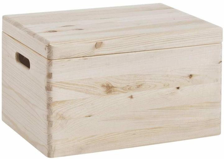 Actual product image Zeller Present All-purpose box (30 cm, 29 l, 1x)