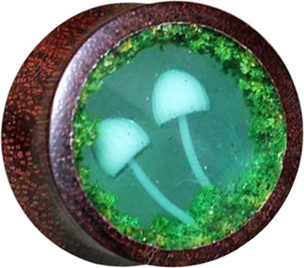 Actual product image Star Piercing Flared Plug Mushroom Epoxy from Tamarind Wood (without brass, Organic)