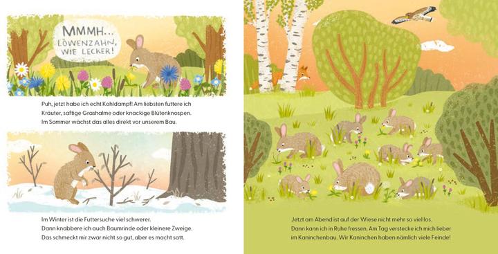 Produktbild Kennst du mich? Ich bin ein Kaninchen! (Deutsch, Andrea Weller-Essers, 2024)