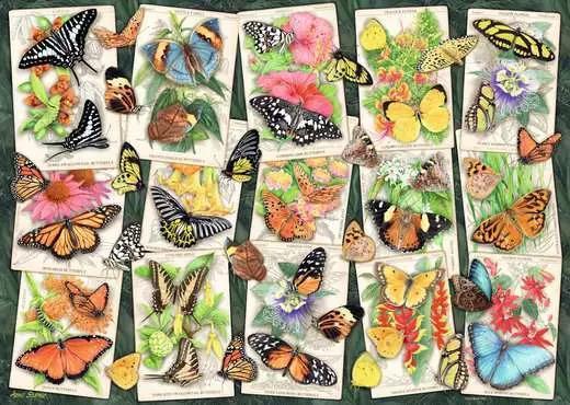 Produktbild Ravensburger Puzzle - Tropical Butterfly 1000p (12001084) (1000 Teile)