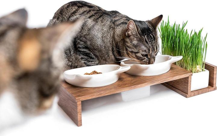 Produktbild CanadianCat Futterbar (50 cl)