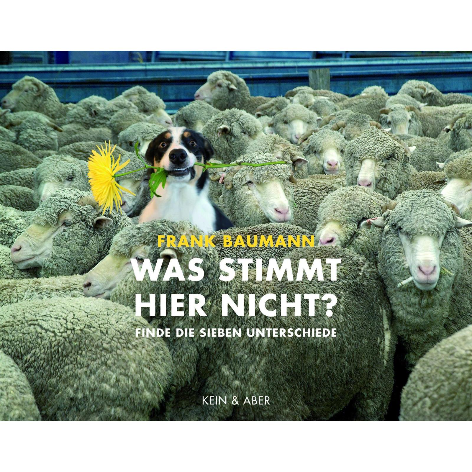 Was stimmt hier nicht?, Belletristik von Frank Baumann