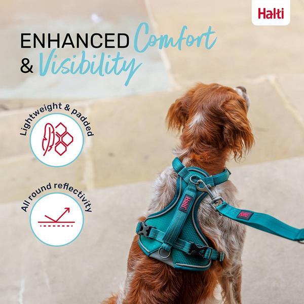 Produktbild Company of Animals Halti Anatomy M Hundegeschirr (M, Hund, Allgemein)